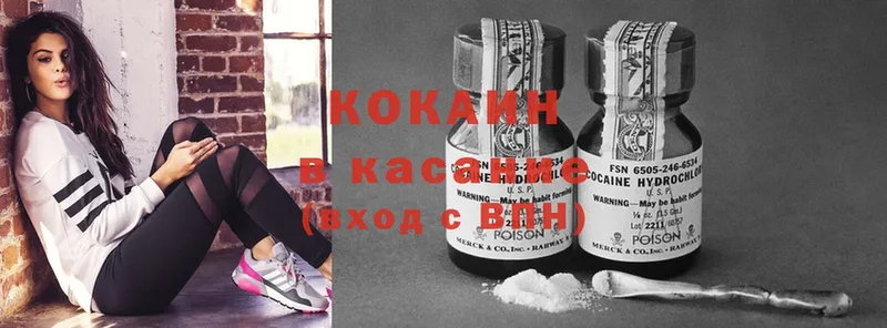 закладки  Рубцовск  блэк спрут как войти  Cocaine Fish Scale 